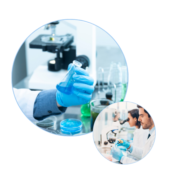 Laboratoire B-LABO